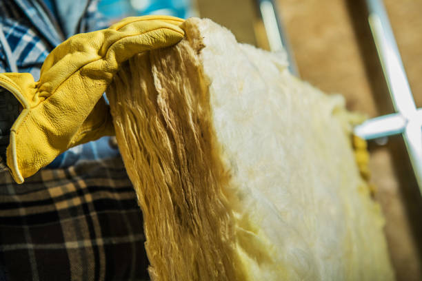 Best Professional Insulation Contractor  in Hermosa Beach, CA
